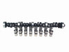 COMCL35-218-3.jpg