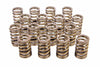 CRO68135-16.jpg