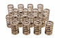 CRO68135-16.jpg