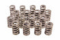 CRO68304-16.jpg