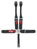 CRW11004B-DB.jpg