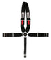CRW11114D.jpg