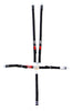 CRW11184A.jpg