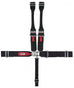 CRW20054DB.jpg
