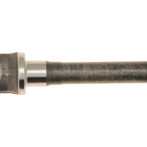 DAN41677.jpg