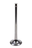 DELEV1625-6T-CRST-1.jpg