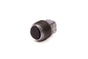 DMIRRC-1031.jpg
