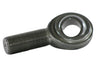 DRP007-52602.jpg