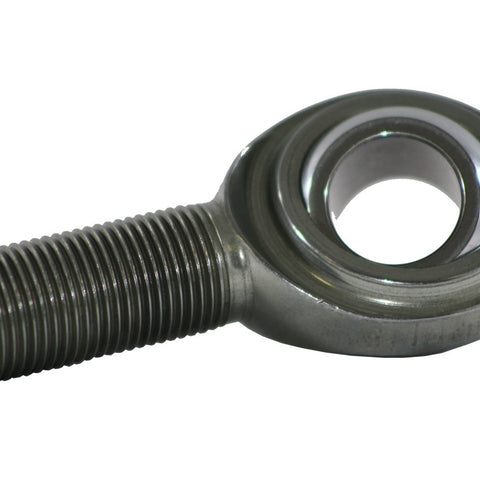 DRP007-52602.jpg