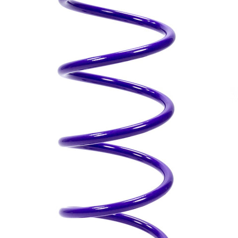 DRSDRA.SR16.175.jpg