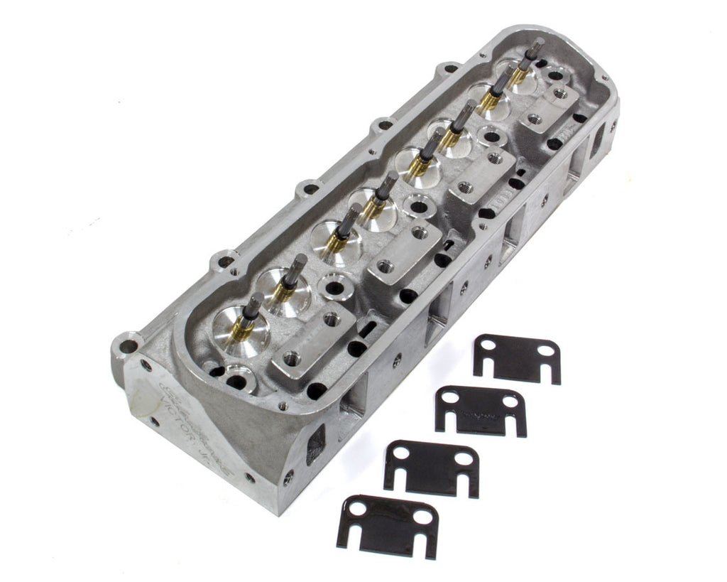 EDE77179.jpg