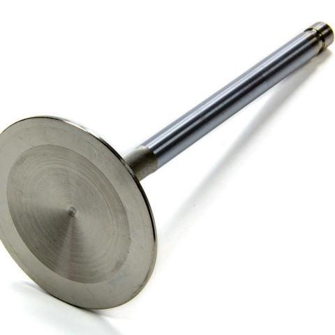 EDE93774.jpg
