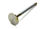 EDE9762.jpg
