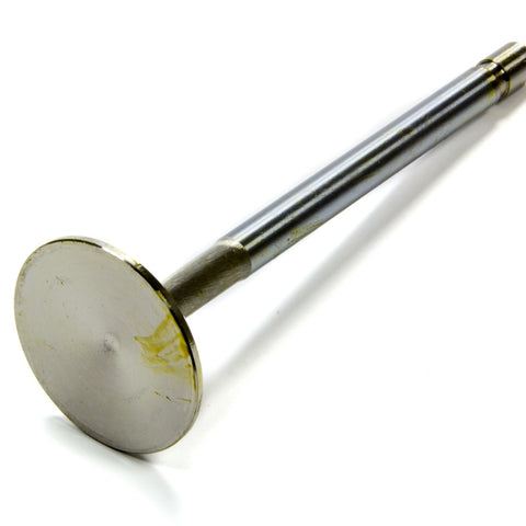 EDE9762.jpg