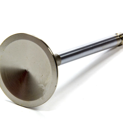 EDE9764.jpg