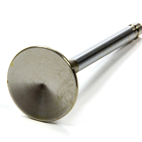 EDE9786.jpg