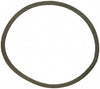 FEL60038.jpg