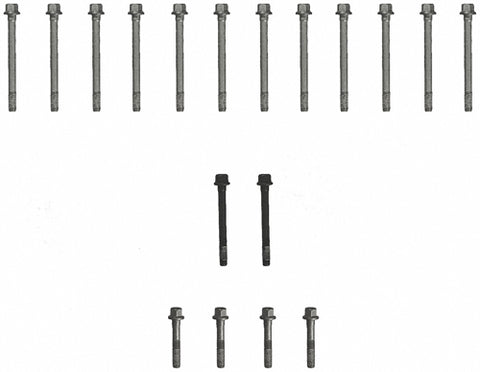 FELES72188.jpg