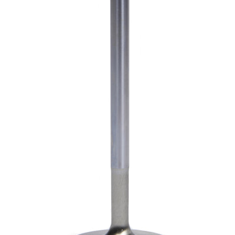 FERF2369P.jpg