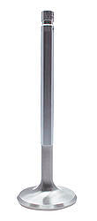 FERF6129-1.jpg