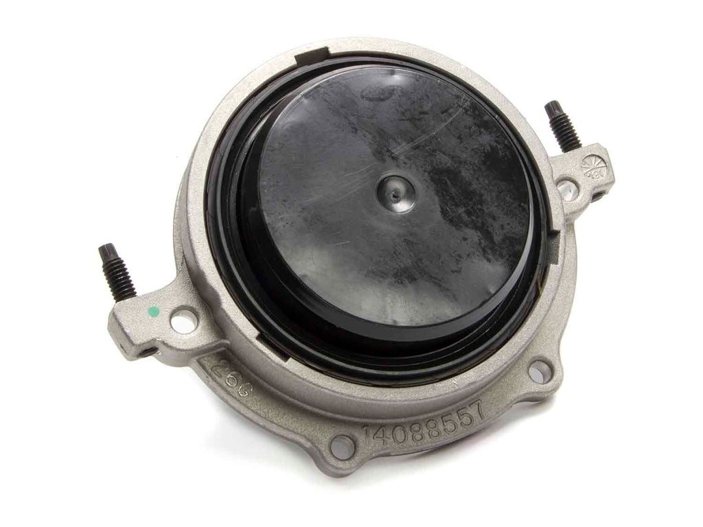 GMP12554312.jpg