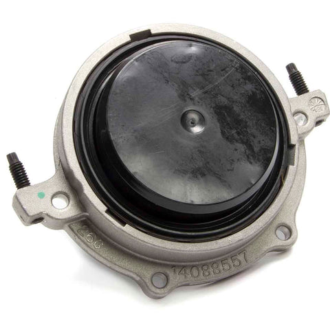 GMP12554312.jpg