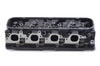 GMP12562925.jpg