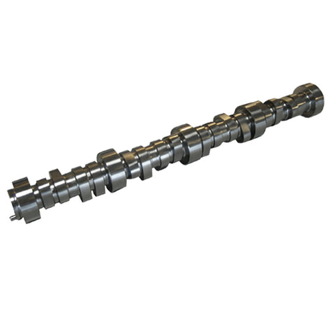 GMP12638427.jpg