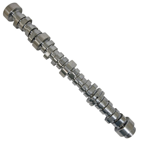 GMP12689035.jpg