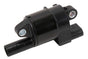 GMP12739916.jpg