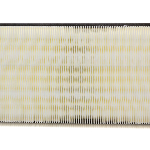 GMP25042562.jpg