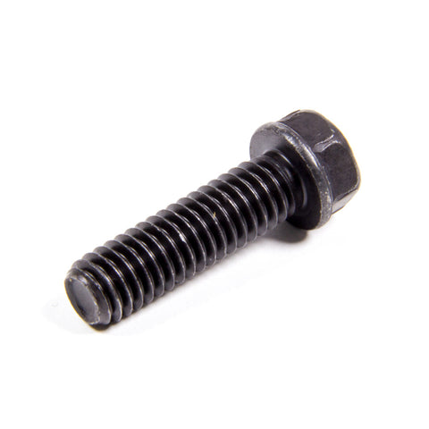 GMP3951644.jpg