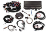 HLY550-927.jpg
