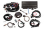 HLY550-934.jpg