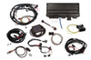 HLY550-942.jpg