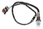 HLY554-101.jpg
