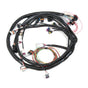 HLY558-103.jpg