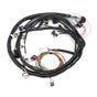 HLY558-104.jpg