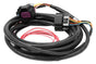 HLY558-429.jpg