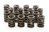 ISK8005-SP.jpg