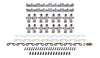 JESKPS-03726-7070.jpg