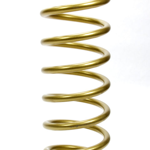 LANK16-250.jpg