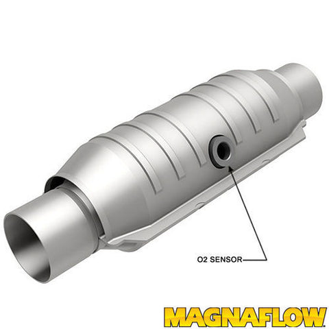 MAG51356.jpg