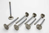 MAN10554-8.jpg