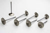 MAN11667-8.jpg