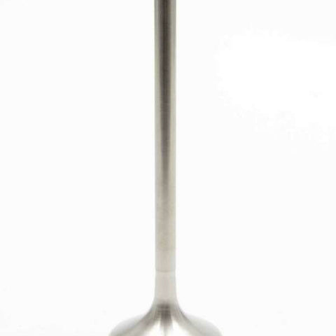 MAN11921-1.jpg