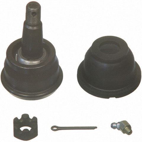 MOGK5103.jpg
