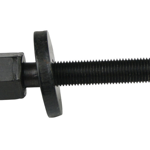 MOR38770.jpg