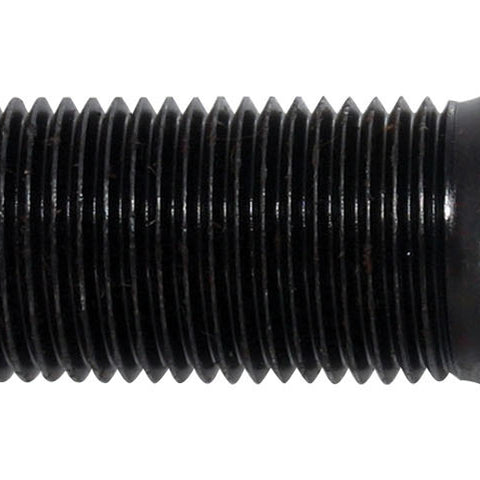 MOR46240.jpg