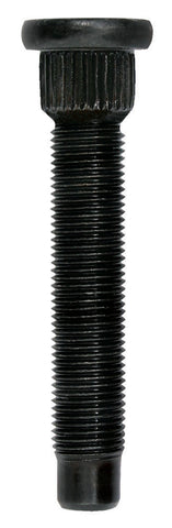 MOR46245.jpg